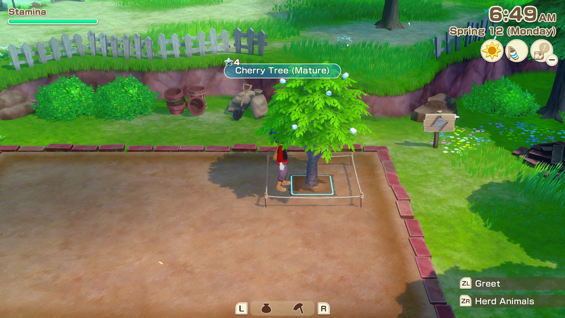 Tree Growth