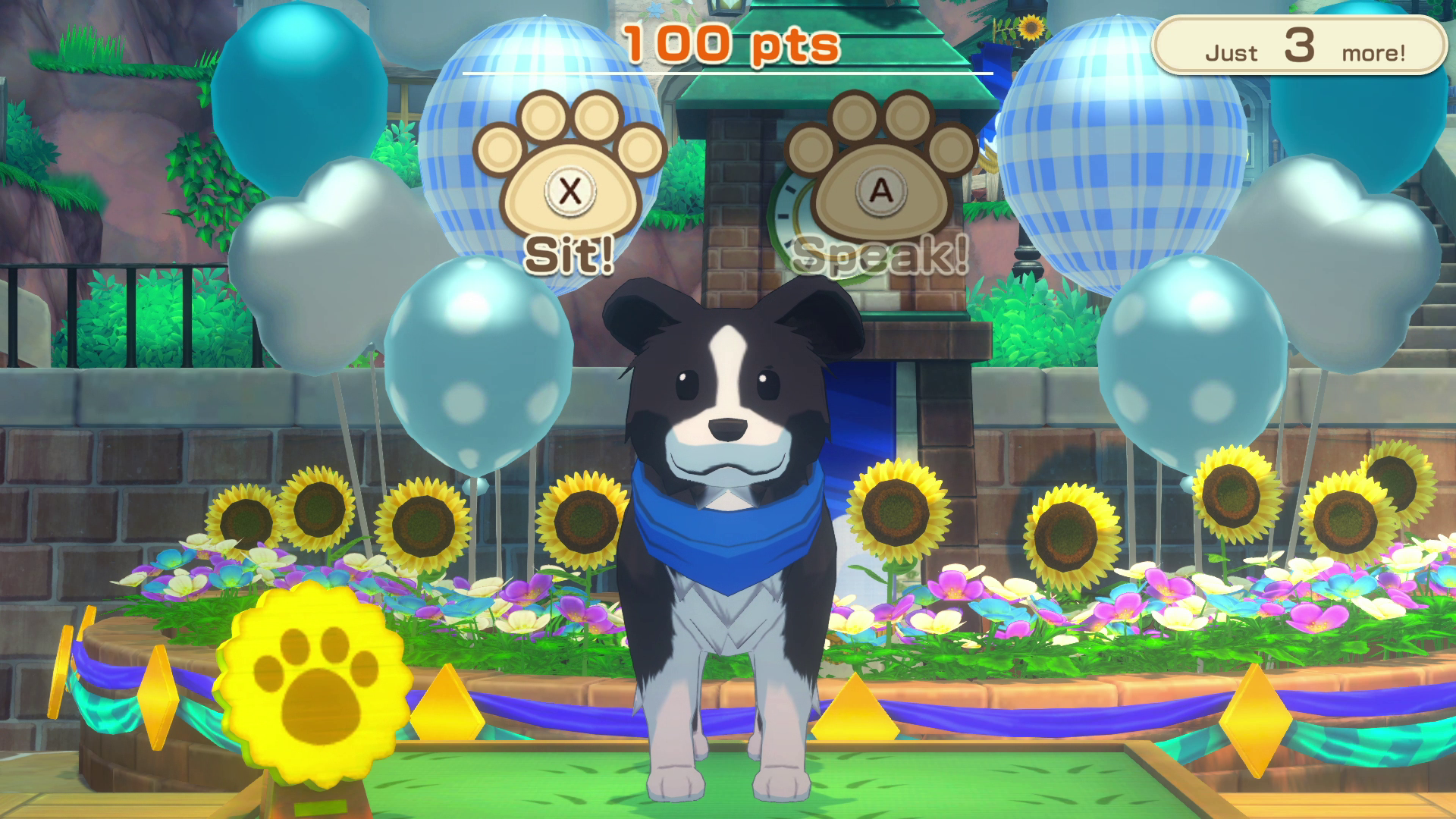 Pet Show