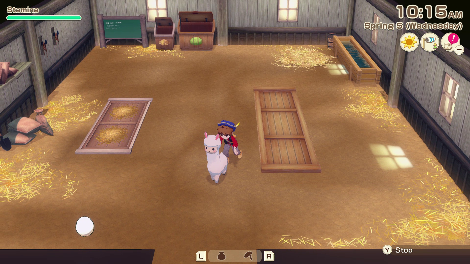 Herding Animals to Pasture