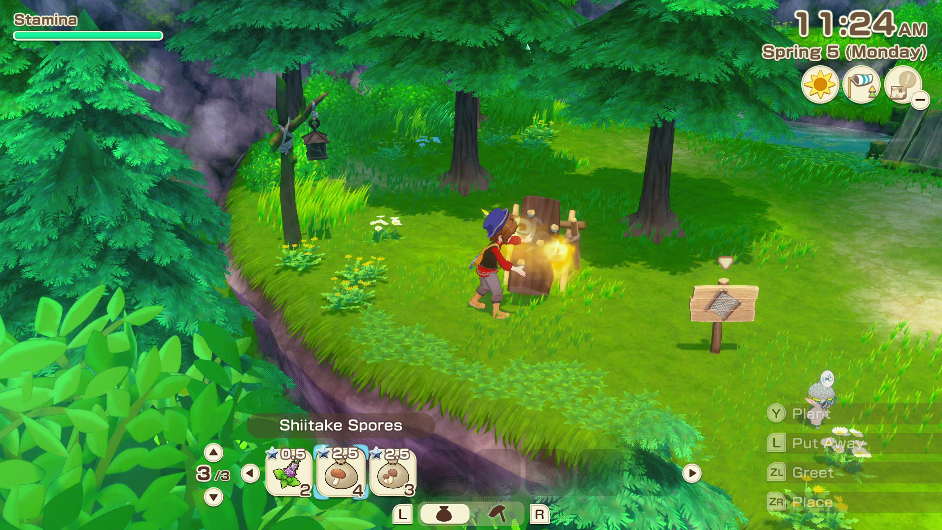 Mushroom Cultivating