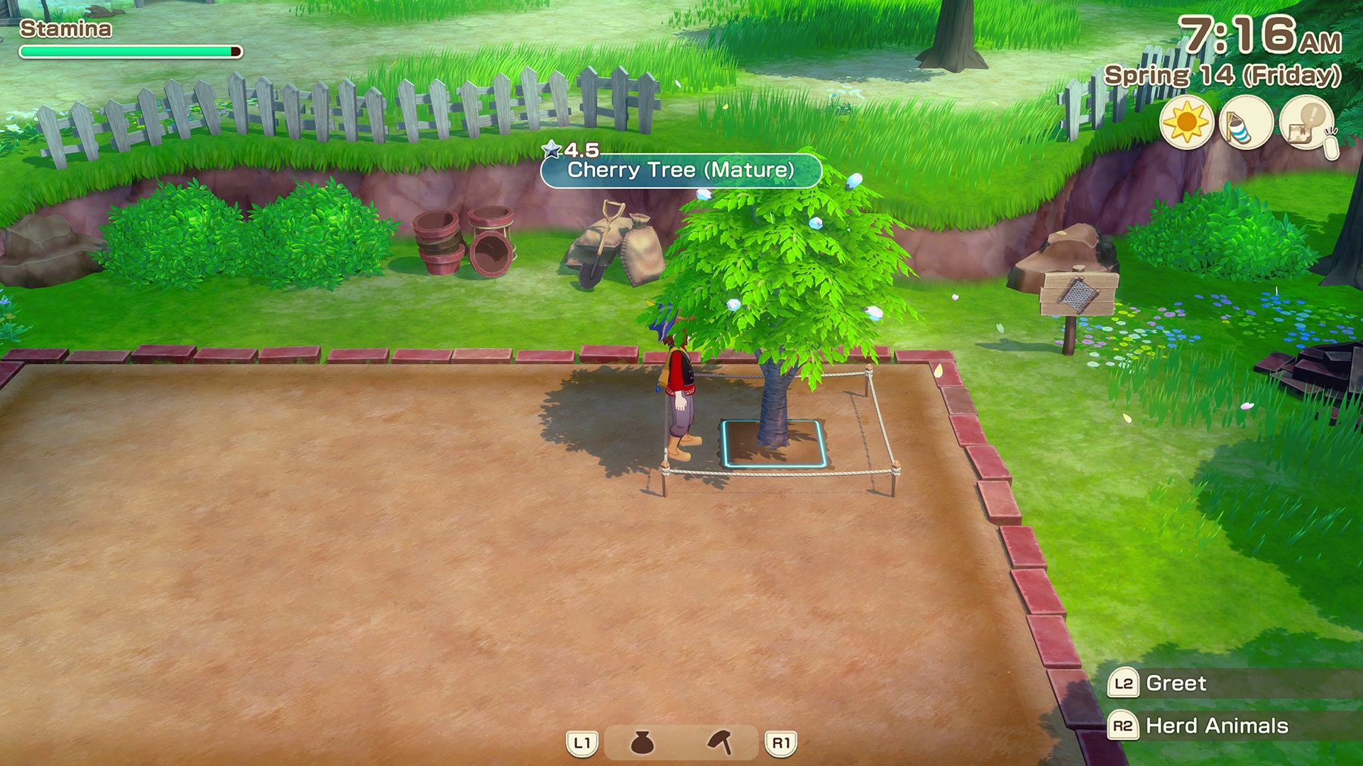 Tree Growth