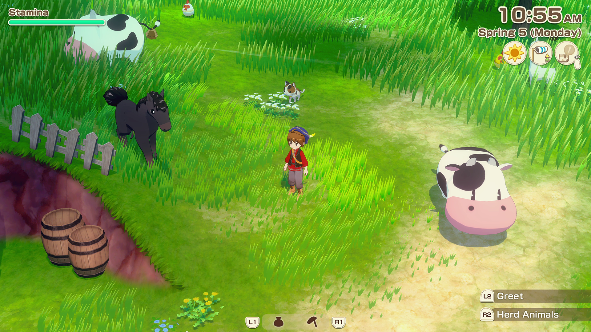 Grazing