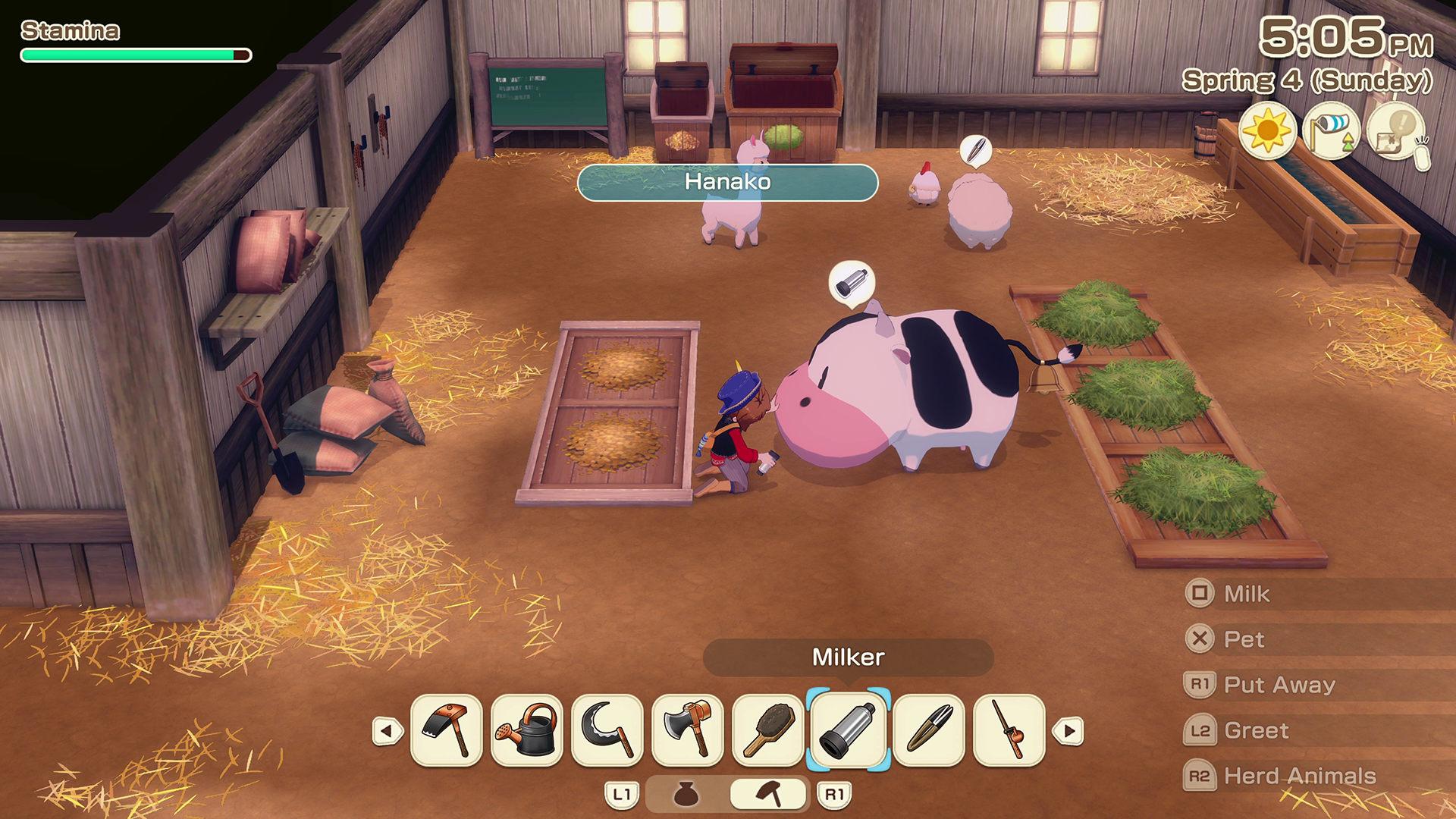 Milking
