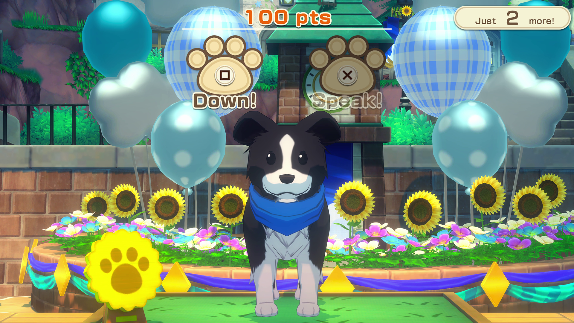 Pet Show