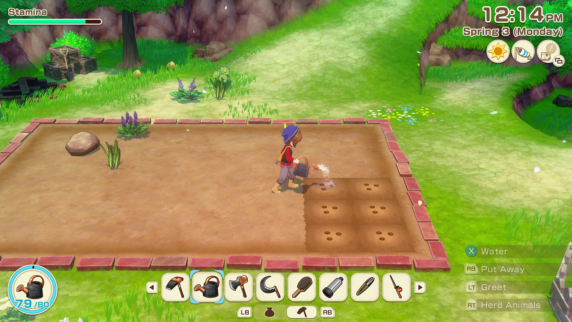 Watering Crops