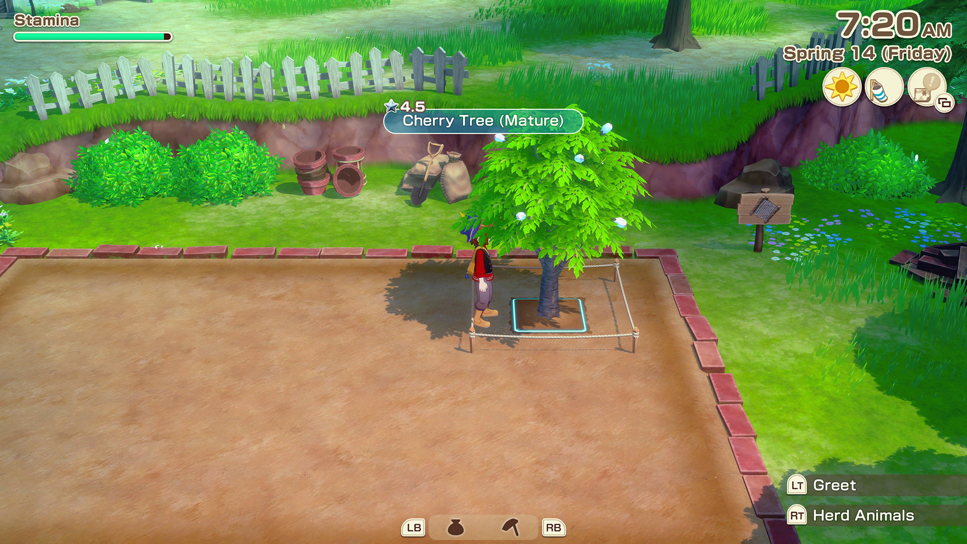 Tree Growth