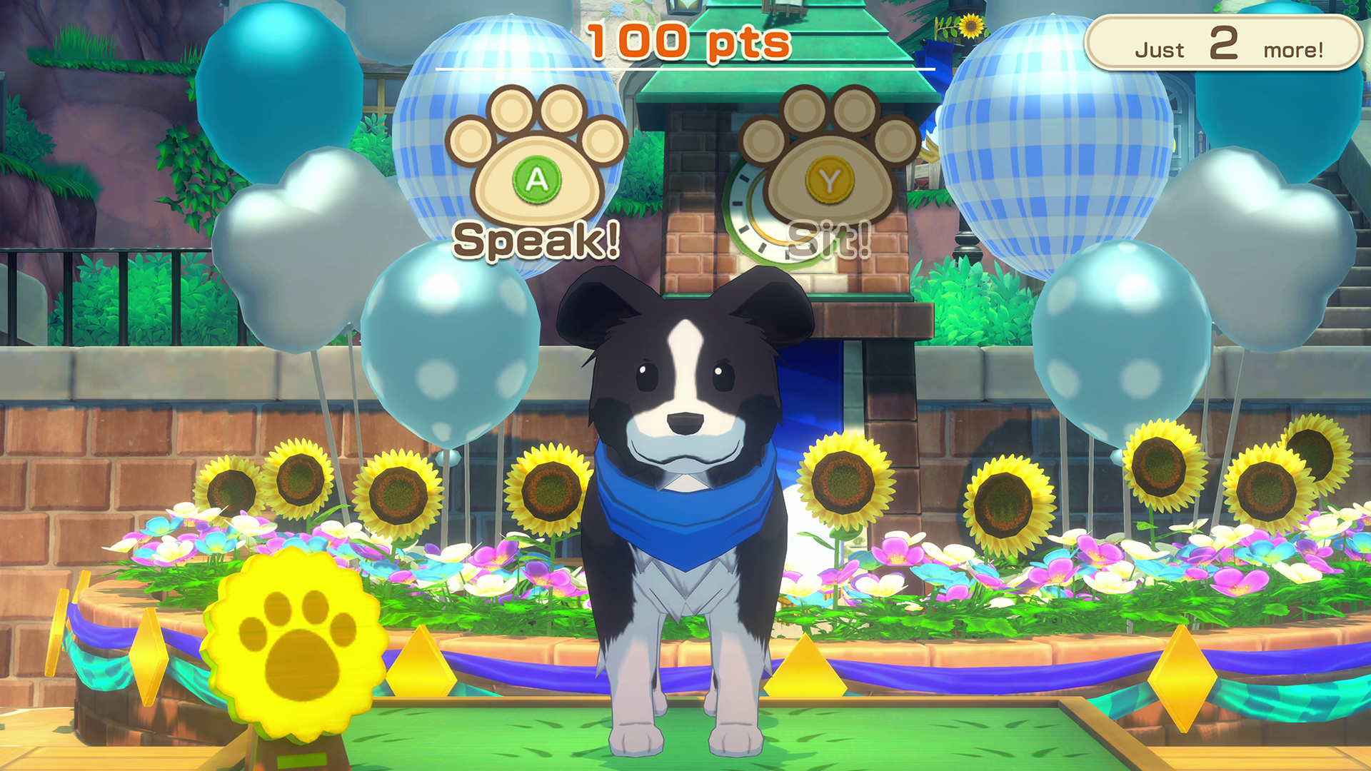 Pet Show