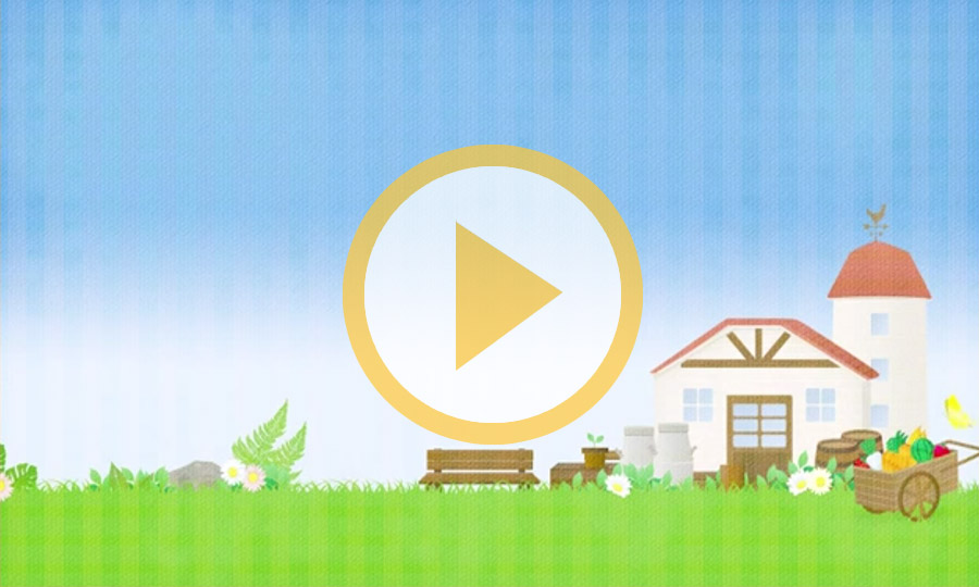 Story of Seasons Tutorial 1