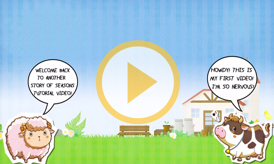 Story of Seasons Tutorial 2