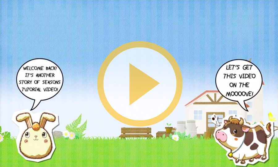 Story of Seasons Tutorial 3