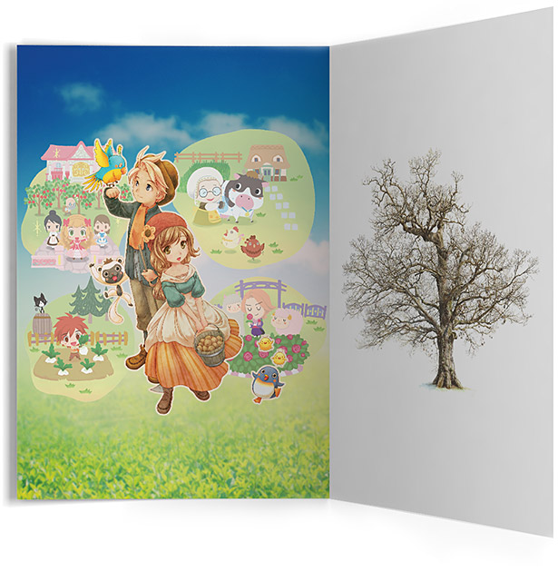 Story of Seasons pamphlet