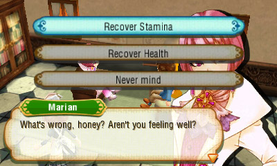 Story of Seasons screenshot 3