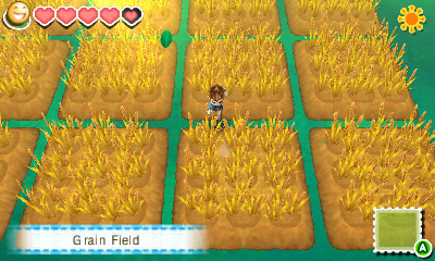 Story of Seasons screenshot 2