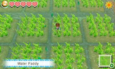 Story of Seasons screenshot 8