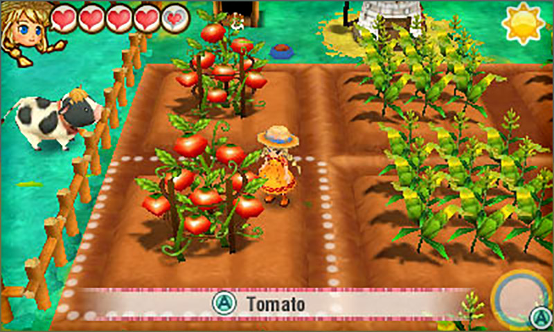 Story of Seasons: Trio of Towns - Time & Seasons: Summer screenshot