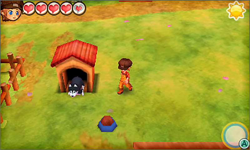 Story of Seasons: Trio of Towns - Keeping Pets: Keeping a Pet screenshot